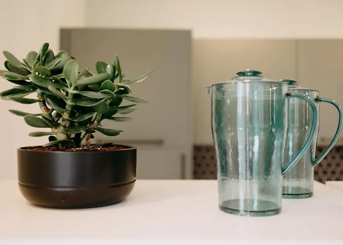 Bed and Breakfast Gli Ulivi And Breakfast